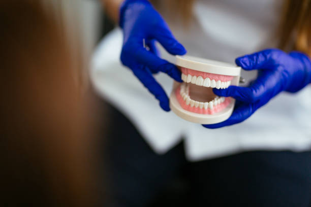 Trusted Wortham, TX Holistic Dental Care Services Experts